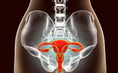 Troubles de l’ovulation : quels sont les traitements naturels et hormonaux ?
