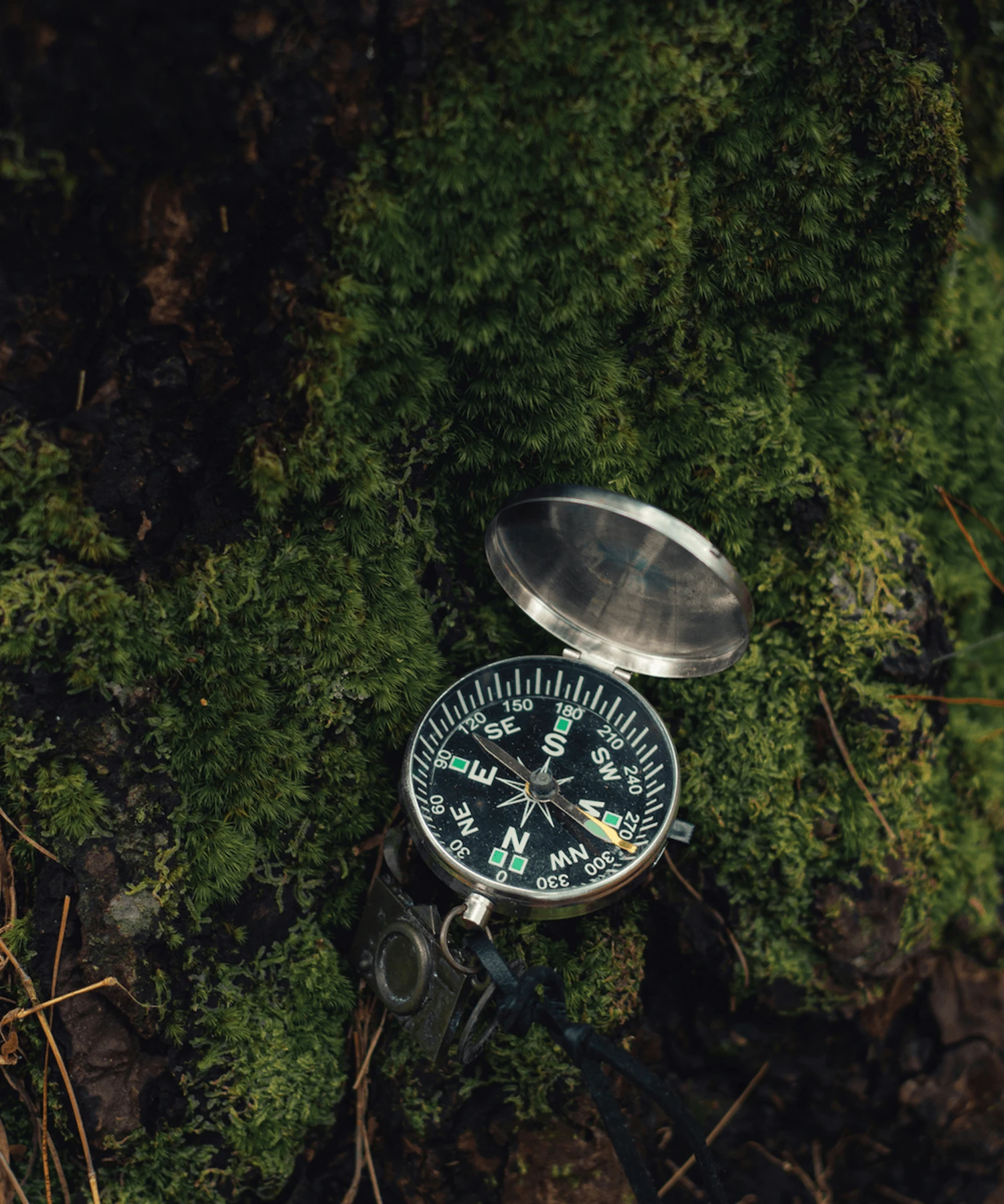 Fertilité naturopathe spécialisée à Lyon