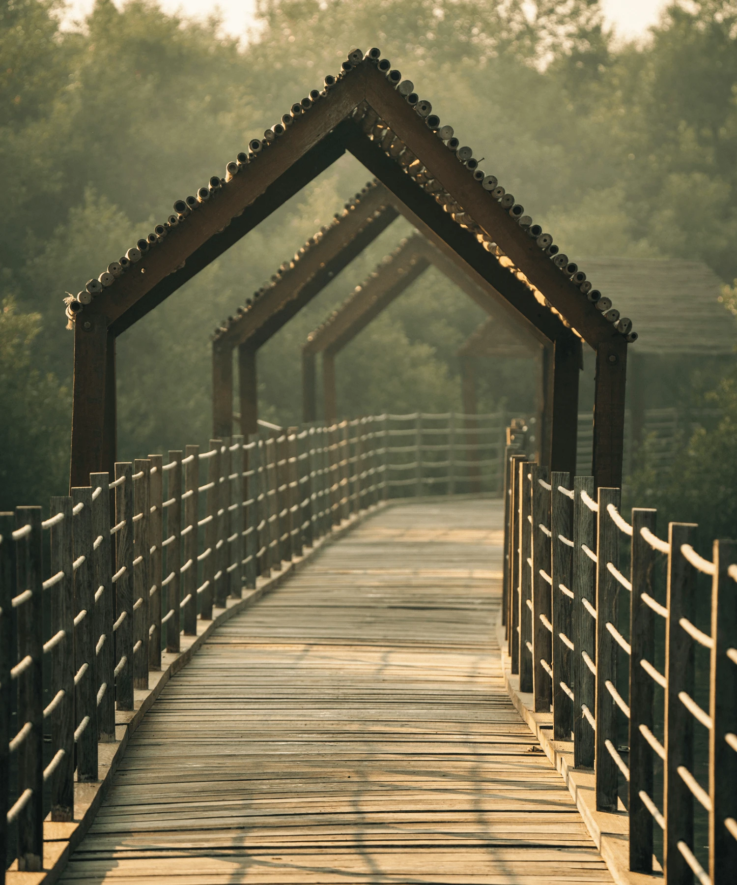 Fertilité naturopathe spécialisée à Lyon